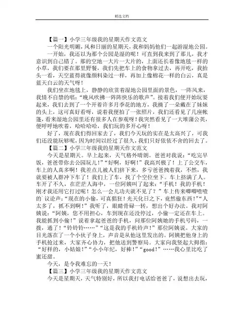 小学三年级我的星期天作文范文