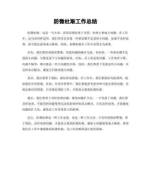 防微杜渐工作总结