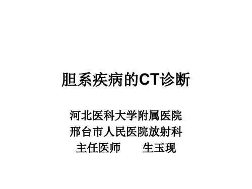 胆系疾病的诊断PPT课件