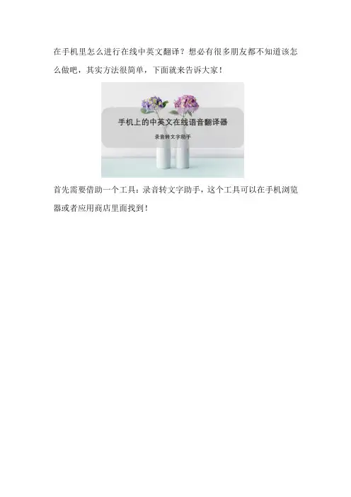 手机上的中英文在线语音翻译器