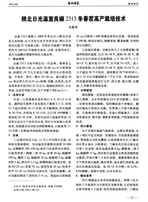 陕北日光温室良椒2313冬春茬高产栽培技术
