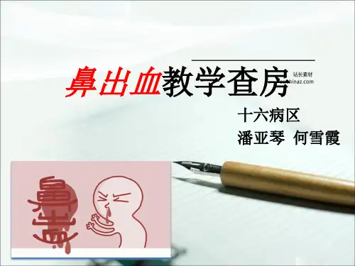 鼻出血教学查房PPT课件