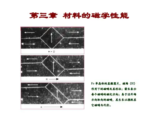 材料的磁学性能