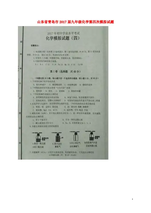 山东省青岛市2017届九年级化学第四次模拟试题