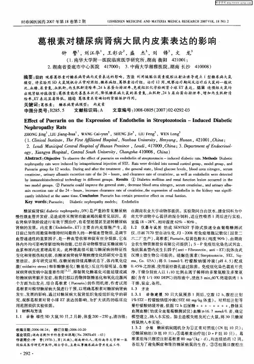 葛根素对糖尿病肾病大鼠内皮素表达的影响