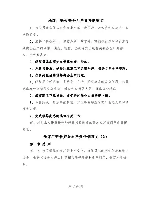 洗煤厂班长安全生产责任制范文(2篇)