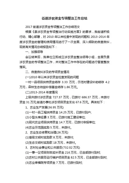 街道涉农资金专项整治工作总结