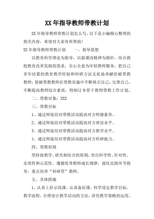 XX年指导教师带教计划