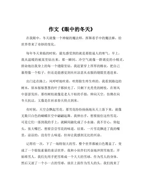 作文《眼中的冬天》