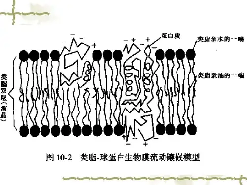 第十章、液膜分离
