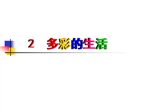 赣美初中美术九年级下册2__多彩的生活PPT课件