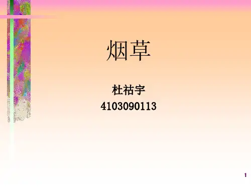 烟草 PPT课件