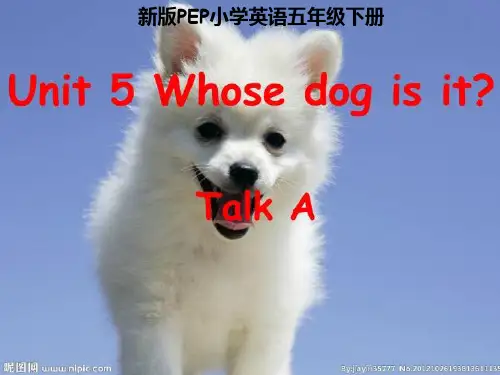 最新人教版五年级下册英语第五单元完整 精品 PPT课件