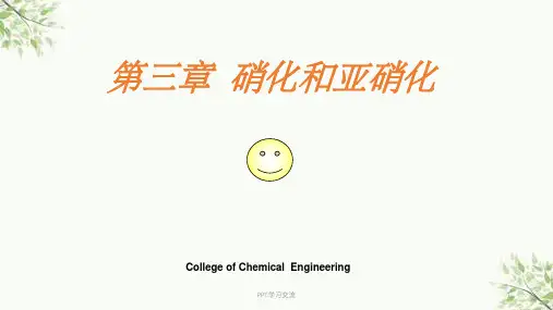 第三章硝化反应课件