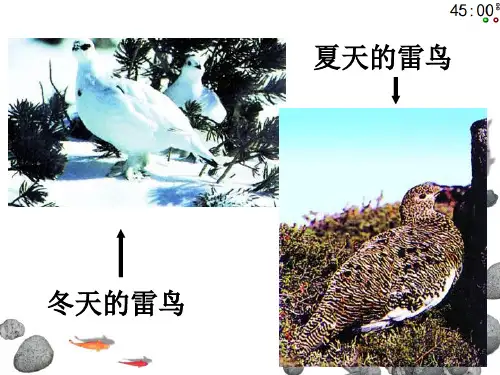 苏科版八年级下册23.3生物进化的原因课件(43张ppt)