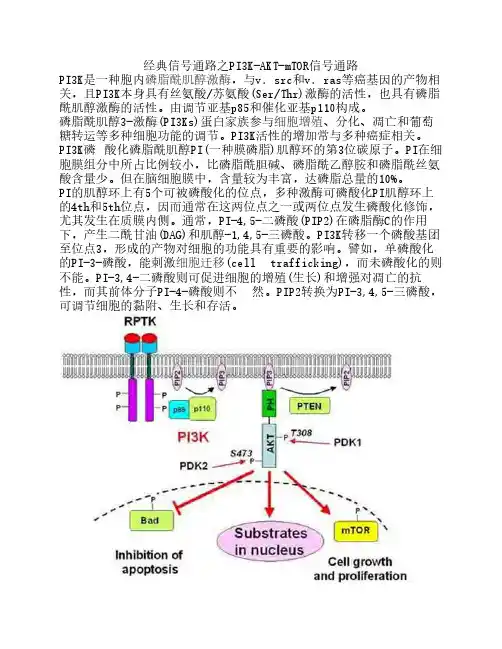 经典信号通路之PI3K-AKT-mTOR信号通    路