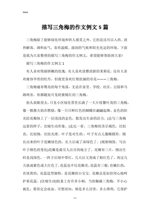 描写三角梅的作文例文5篇