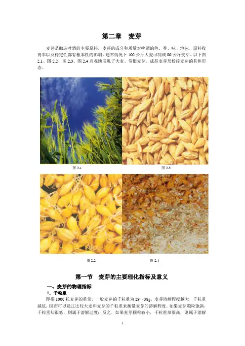 啤酒手册—02麦芽