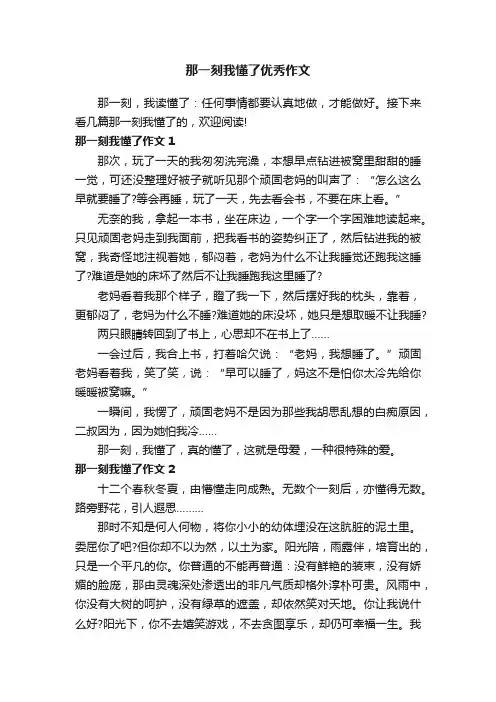 那一刻我懂了优秀作文