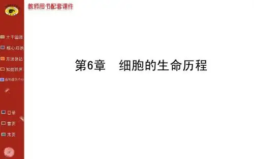 2014届高三生物金榜频道一轮课件：必修1.6.1细胞的增殖