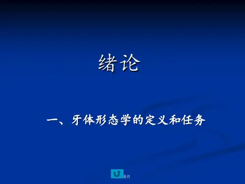 口医牙体形态学,1.牙解绪论、演化,牙的组成、分类、功能、牙位记录
