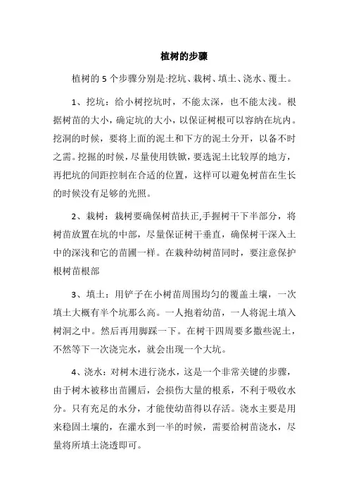 植树的步骤