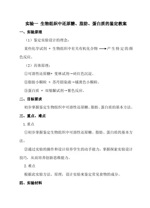 蛋白质的检测流程
