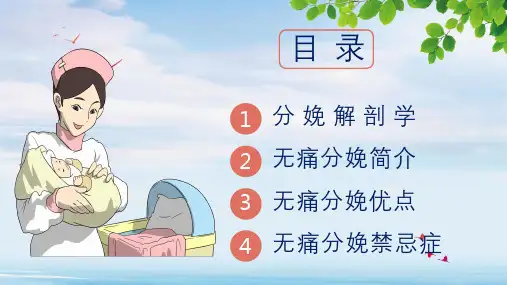 医院医疗无痛分娩关爱母婴医疗宣传图文PPT教学课件