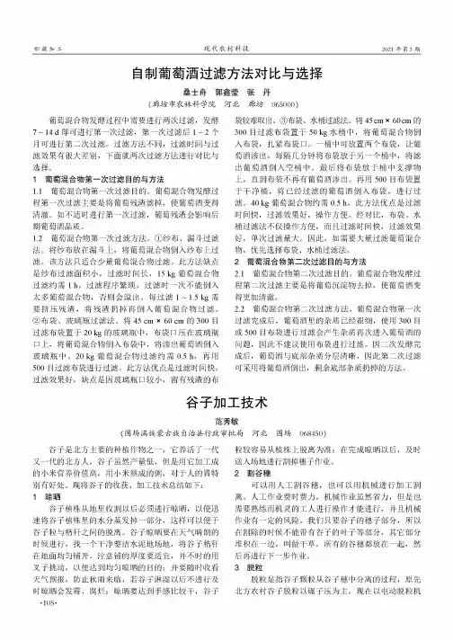 自制葡萄酒过滤方法对比与选择