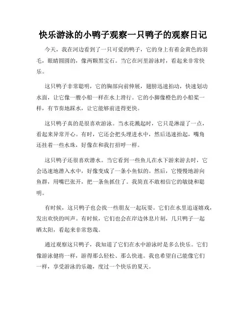 小学三年级作文快乐游泳的小鸭子观察一只鸭子的观察日记