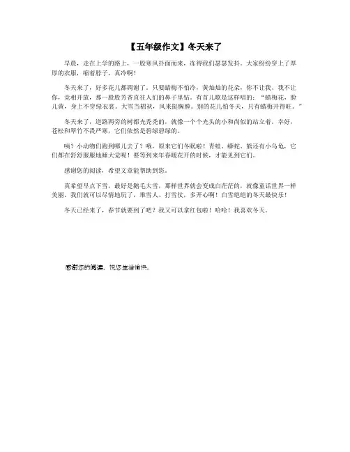 【五年级作文】冬天来了