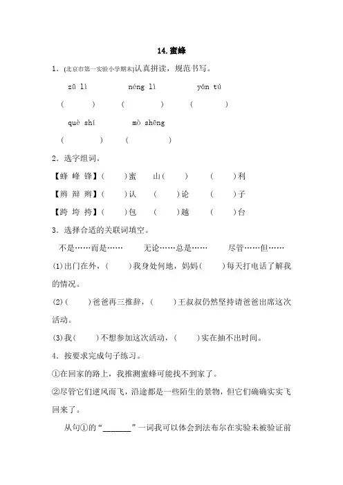 三年级下册语文试题-14.蜜蜂 (含答案)部编版