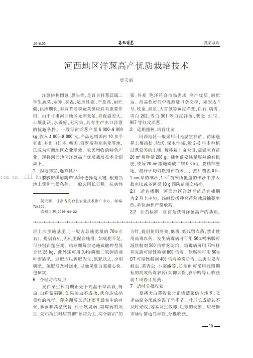 河西地区洋葱高产优质栽培技术