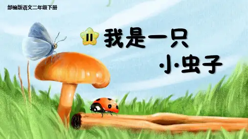 部编版二年级语文下册课件 第四单元 11我是一只小虫子