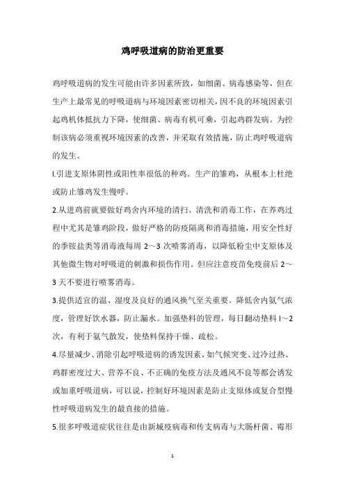 鸡呼吸道病的防治更重要