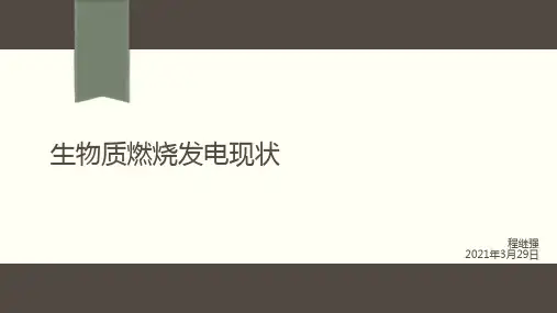 生物质发电