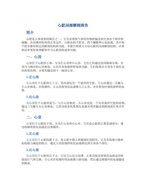 心脏局部解剖报告