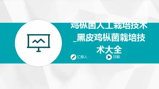 鸡枞菌人工栽培技术_黑皮鸡枞菌栽培技术大全