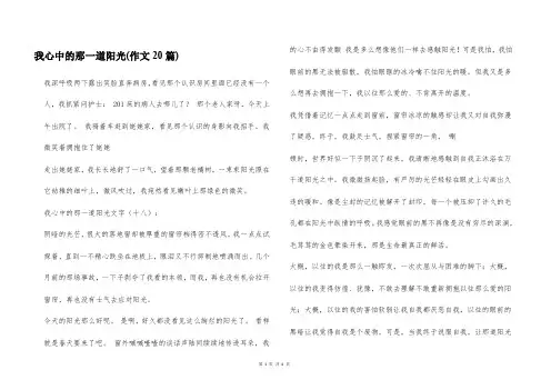 我心中的那一道阳光(作文20篇)
