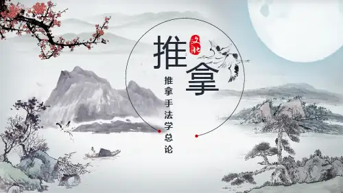 推拿手法学总论