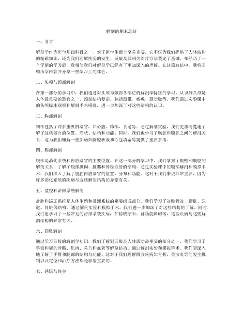 解剖的期末总结