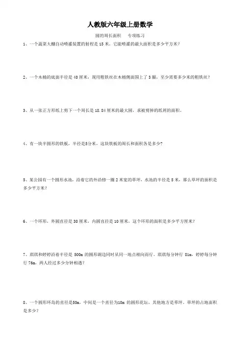 人教版六年级上册数学  圆的周长面积   专项练习
