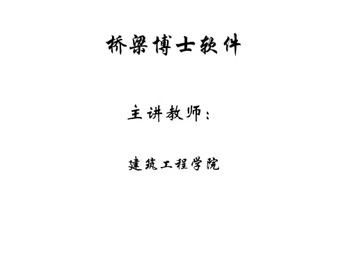 桥梁博士培训教程课件