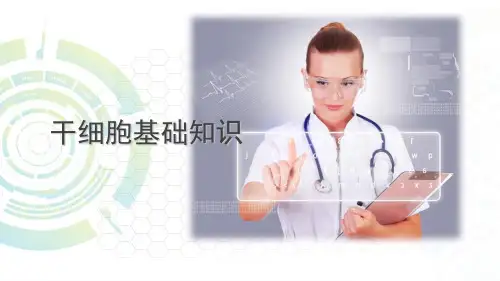 干细胞基础培训PPT课件