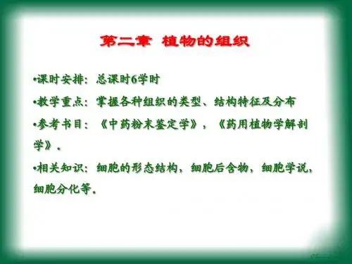 XX大学药用植物学--组织ppt
