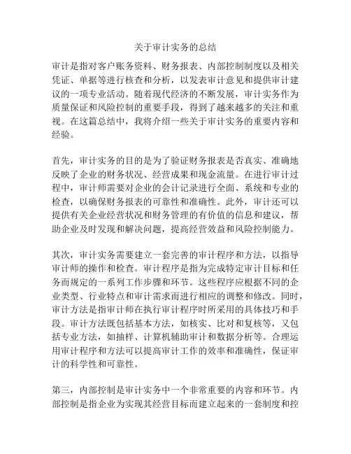 关于审计实务的总结