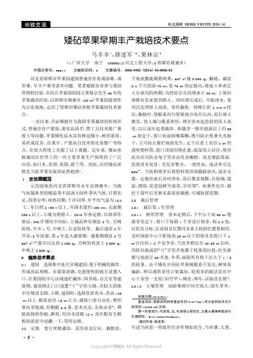 矮砧苹果早期丰产栽培技术要点