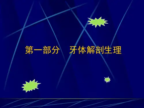 牙体解剖生理.ppt