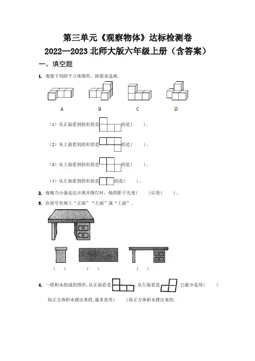 第三单元《观察物体》达标检测卷   2022—2023北师大版六年级上册(含答案)