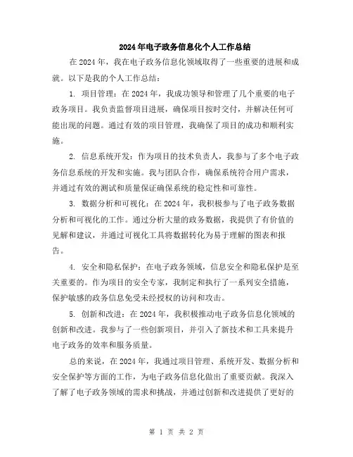 2024年电子政务信息化个人工作总结